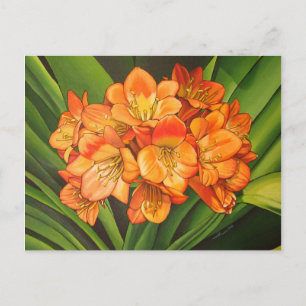 Cartão Postal Laranjas Fleurs
