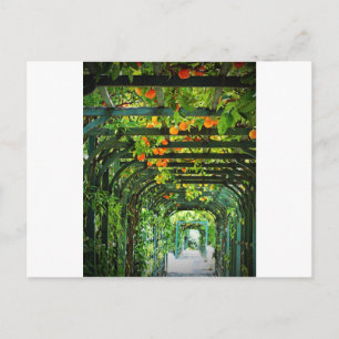 Cartão Postal Laranjas Laranjas e Limões Amarelos em Treliça Ver