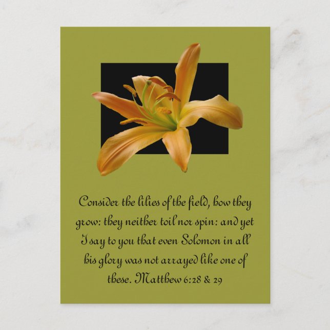 Cartão Postal Larry's Orange Lily (Frente)