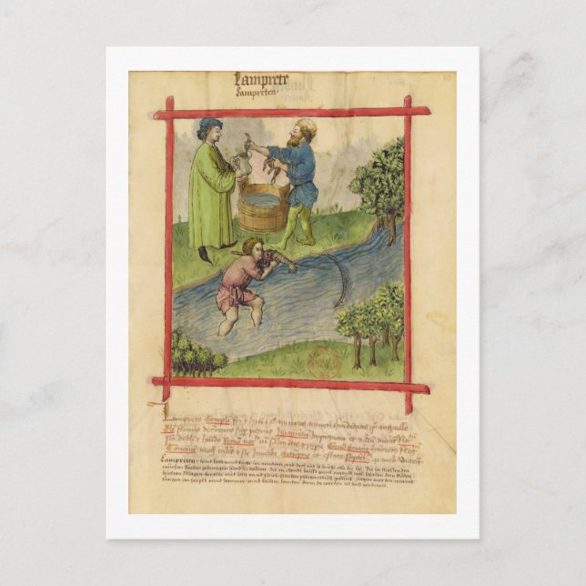 Cartão Postal Lat 9333 f.82 Pesca da enguia, de Tacuinum (Frente)