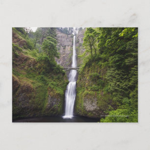 Cartão Postal Latourell Falls & Bridge Rio Columbia Gorge