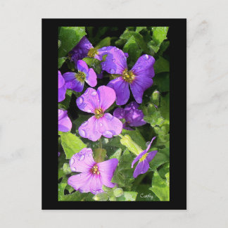 Cartão Postal L'aubriète