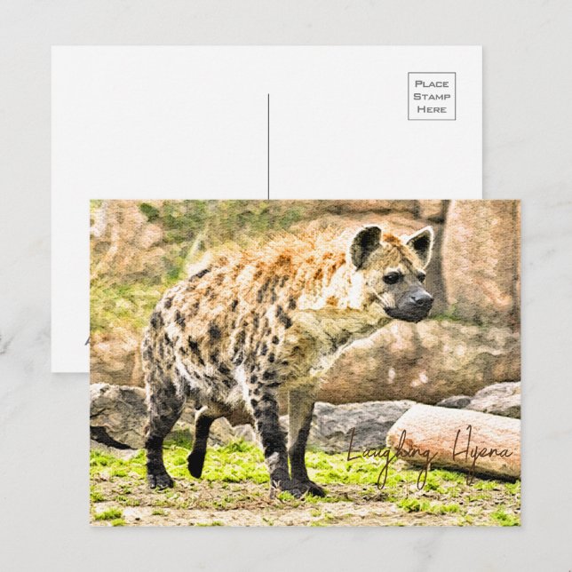 Cartão Postal Laughing Hyena (Frente/Verso)