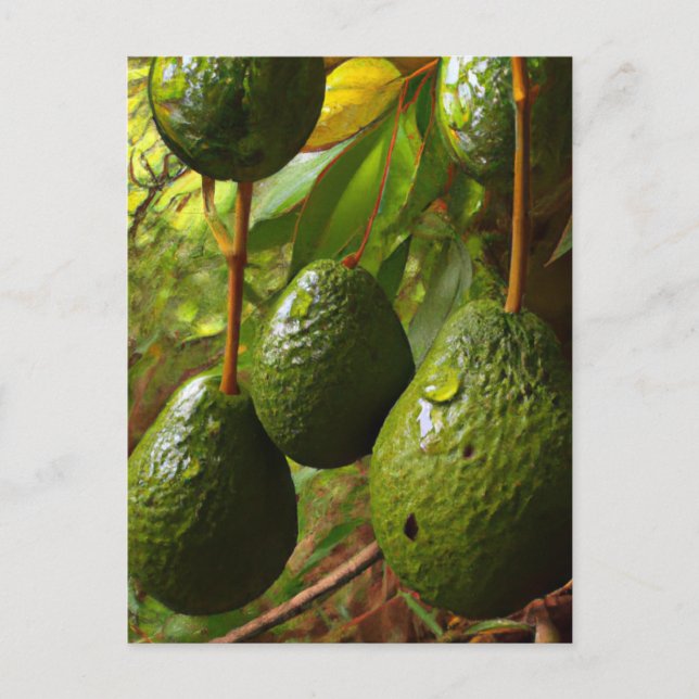 Cartão Postal Laurales (Frente)