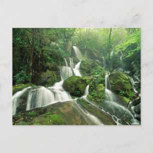 Cartão Postal Laurel Falls, Tennessee