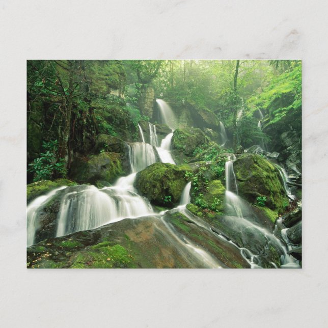 Cartão Postal Laurel Falls, Tennessee (Frente)