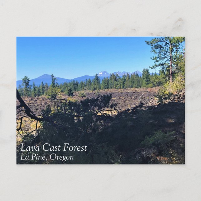 Cartão Postal Lava Cast Forest, Oregon (Frente)