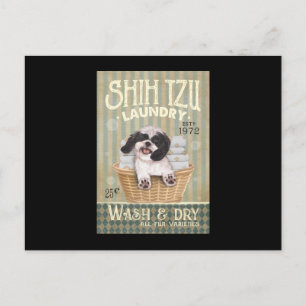 Cartão Postal Lavagem de Cachorro Shih Tzu Vida Fofo de Cachorro