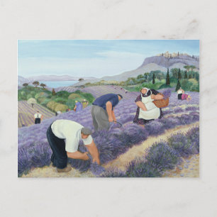 Cartão Postal Lavanda