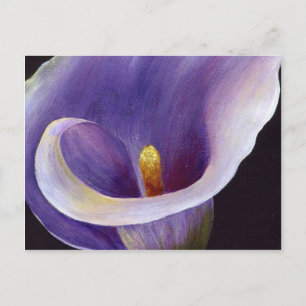 Cartão Postal Lavanda Calla Lily