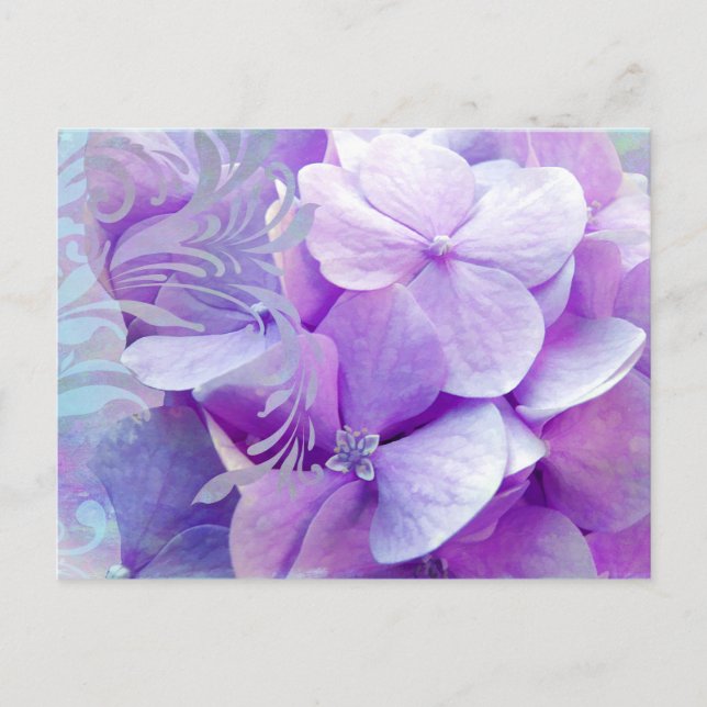 Cartão Postal Lavanda Hydrangea Swirc Floral Cartão-postal (Frente)