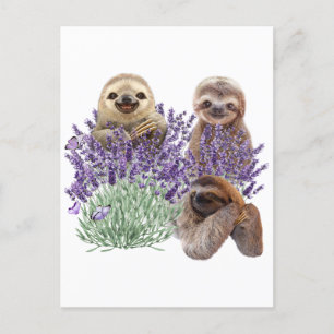 Cartão Postal Lavanda Lenta Camisa Mulheres Leve Mãe de Vestuári