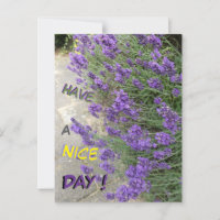 Lavanda. Texto tem um Cartão-Postal de Bom Dia