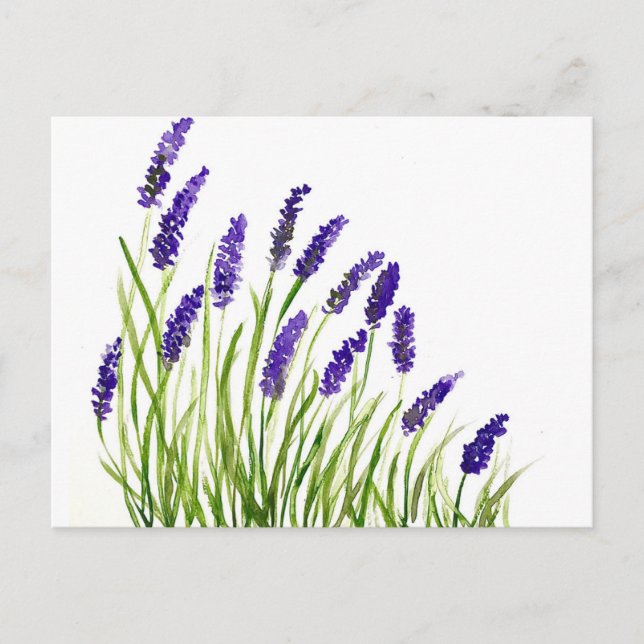 Cartão Postal Lavandas flores aquarela Purple Floral russa (Frente)