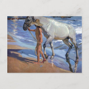 Cartão Postal Lavando o Cavalo