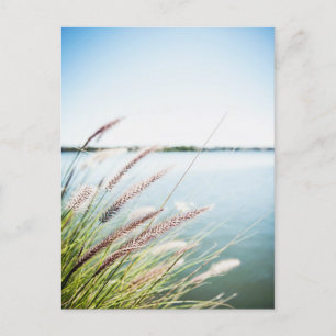 Cartão Postal Le long du Santo-Laurent