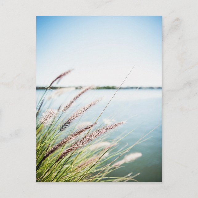 Cartão Postal Le long du Santo-Laurent (Frente)