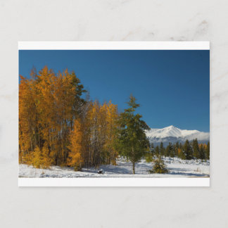 Cartão Postal Leadville Autumn Views
