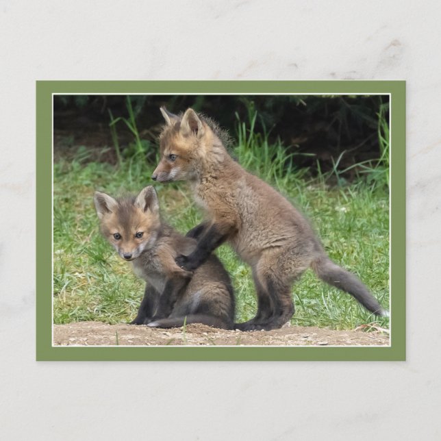 Cartão Postal Lean On Me (Frente)