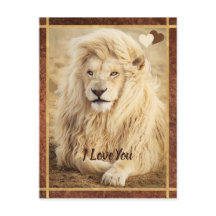 Leão Branco Foto Eu Te Amo