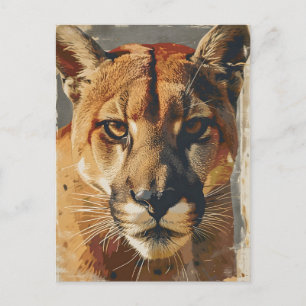 Cartão Postal Leão da montanha Cougar retrô