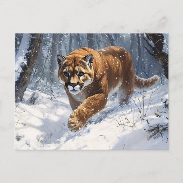 Cartão Postal Leão de Montanha Prowling na Arte da Neve (Frente)
