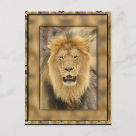 Cartão Postal Leão Frame