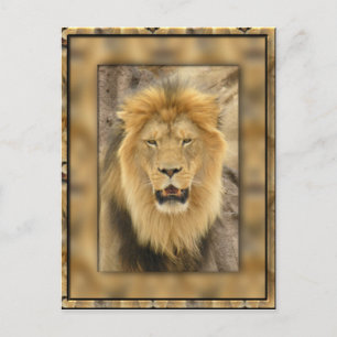 Cartão Postal Leão Frame