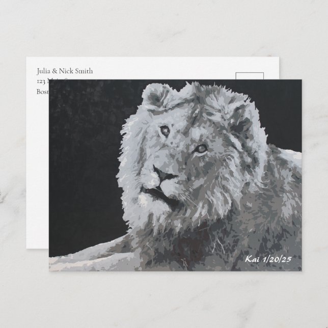 Cartão Postal Leão, Leão Africano, Animal (Frente/Verso)