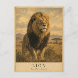 Cartão Postal Leão Savana da África Oriental VINTAGE