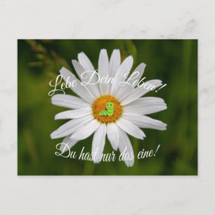 Cartão Postal Lebe Dein Leben! Du hast nur das eine!