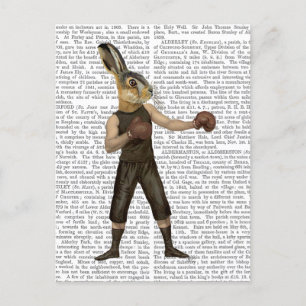 Cartão Postal Lebre in a box