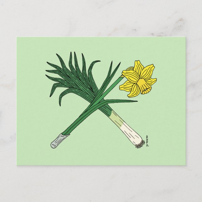 Cartão Postal Leek e Daffodil cruzados (Frente)