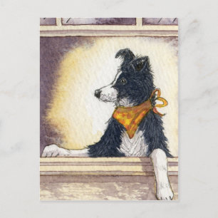 Cartão Postal Legal cowboy collie cuidadosamente mantém um olho.