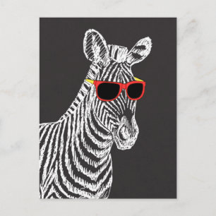 Cartão Postal Legal desenho branco de zebra engraçado e engraçad