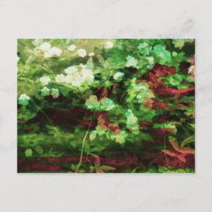 Cartão Postal Legal padrão de arte verde-vermelha. Conceito de n
