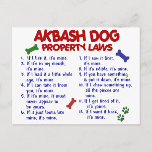 Cartão Postal Lei de Propriedade AKBASH DOG 2