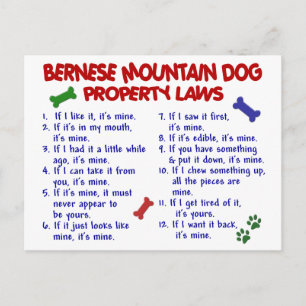 Cartão Postal Lei de Propriedade do BERNESE MOUNTAIN DOG 2