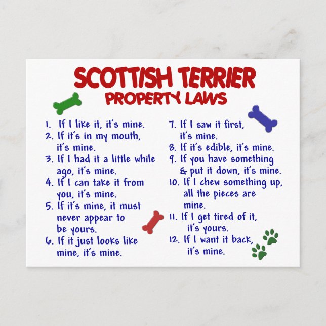 Cartão Postal Lei de Propriedade do TERRIER SCOTTISH 2 (Frente)
