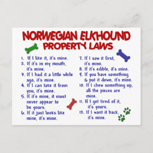 Cartão Postal Lei de propriedades do NORWEGIAN ELKHOUND 2