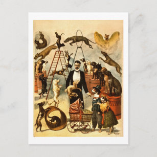Cartão Postal Lei do Cão Treinado 1899 Vintage Circus Act Poster
