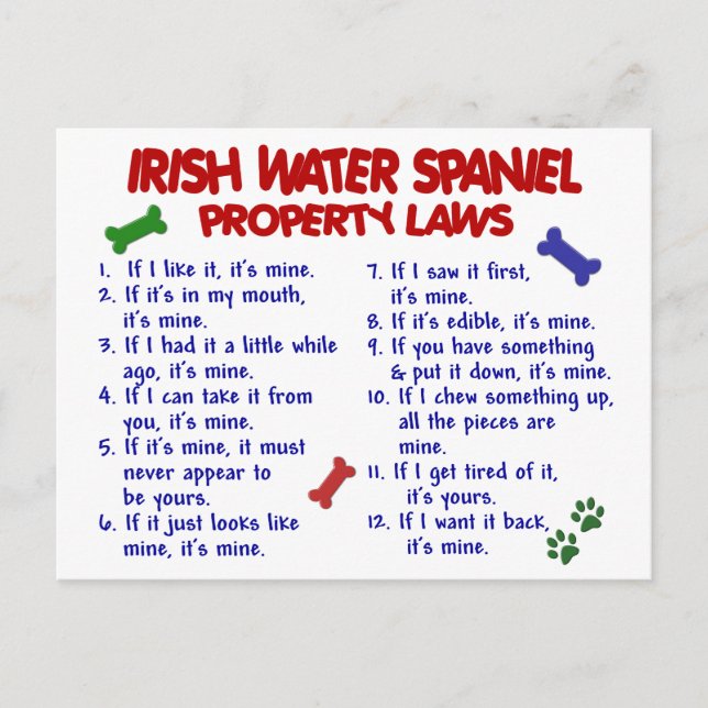 Cartão Postal Lei IRISH WATER SPANIEL relativa à propriedade 2 (Frente)