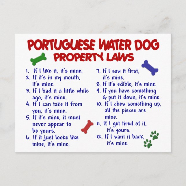 Cartão Postal Lei PORTUGUESA relativa à propriedade de DOG na ág (Frente)