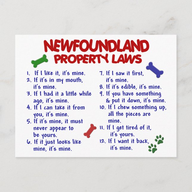 Cartão Postal Lei relativa à propriedade da NEWFOUNDLAND 2 (Frente)