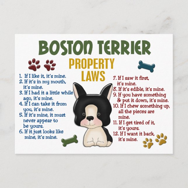 Cartão Postal Leis 4 da propriedade de Boston Terrier (Frente)