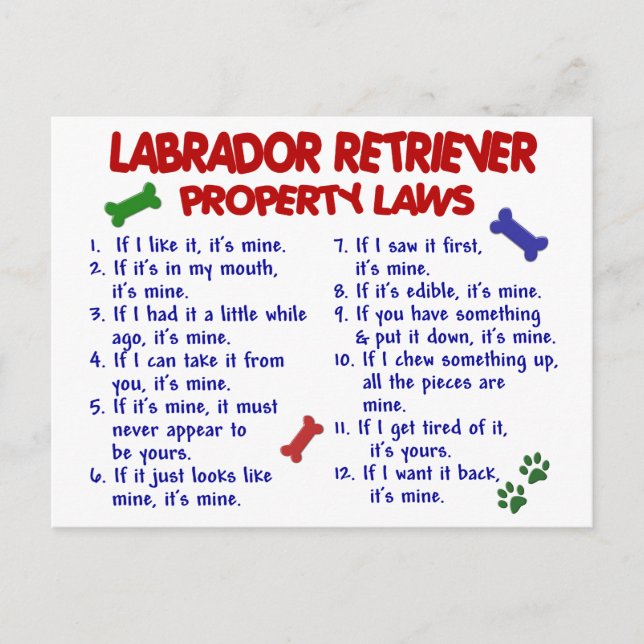 Cartão Postal Leis da propriedade de LABRADOR RETRIEVER (Frente)