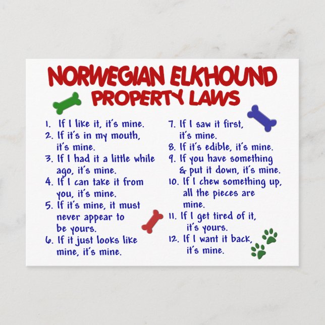 Cartão Postal Leis de Propriedade do NORUEGUÊS ELKHOUND 2 (Frente)