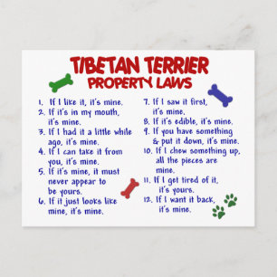 Cartão Postal Leis de propriedade do TERRIER TIBETAN 2