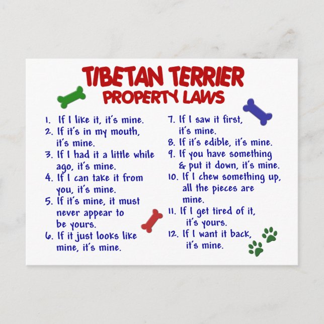 Cartão Postal Leis de propriedade do TERRIER TIBETAN 2 (Frente)