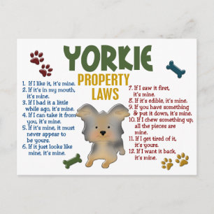 Cartão Postal Leis de Propriedade Yorkie 4